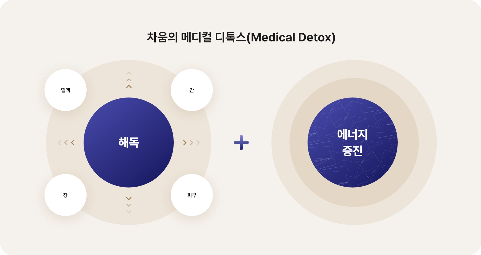 디톡스슬리밍
